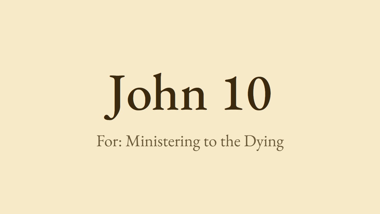 John 10 - Luther for the pastoral visit