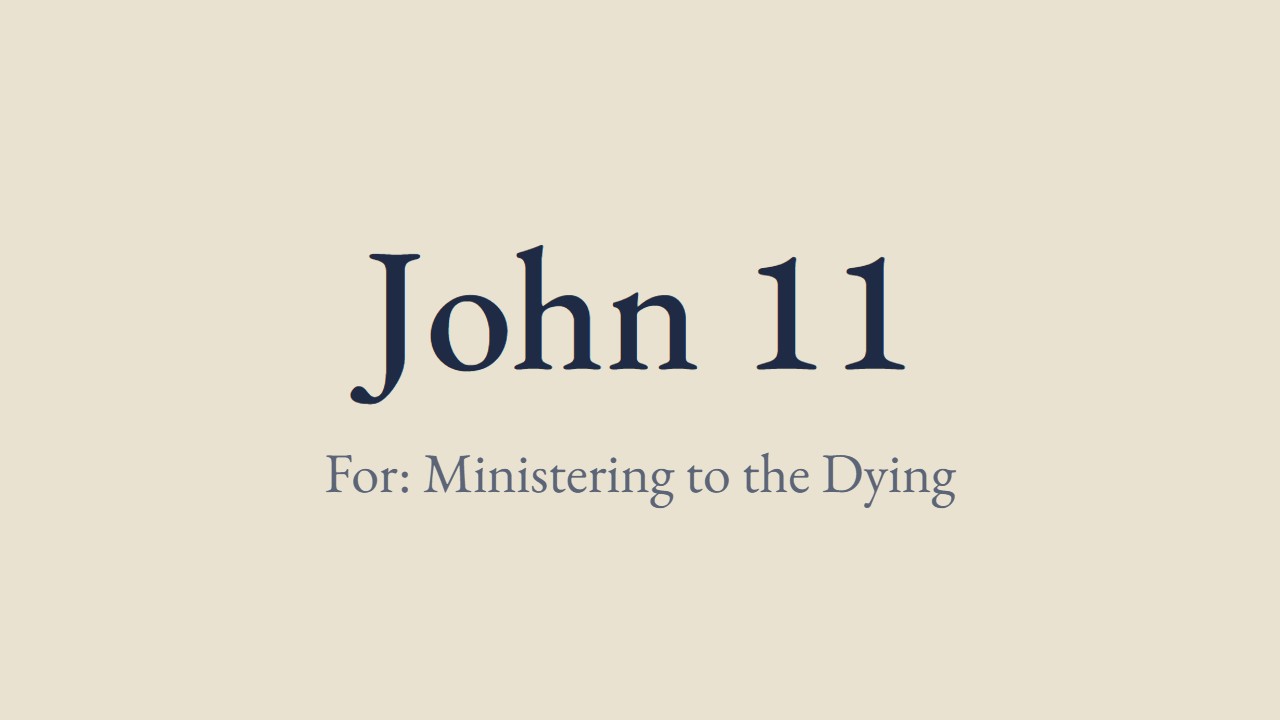 John 11 - Luther for the pastoral visit